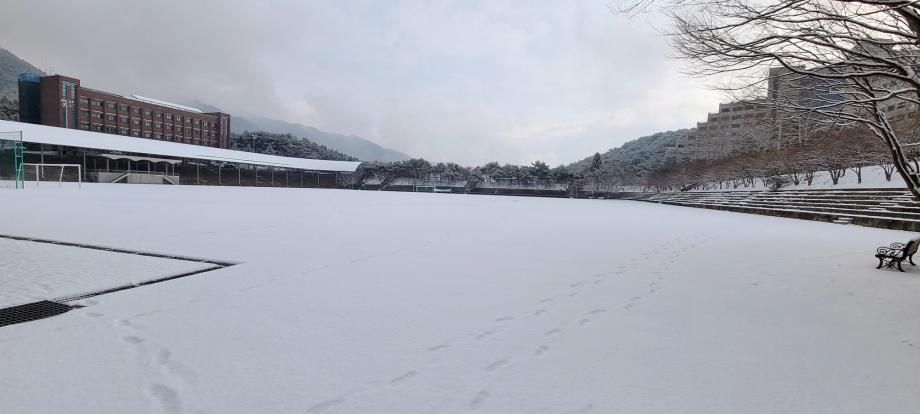 [세명대] 2025학년도 3월 봄 비.....아닌 봄 눈 내린 대학 교정 풍경