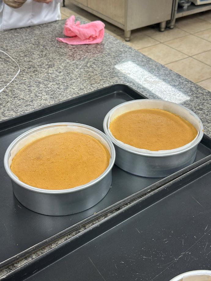 2025년 1학기 동아리 활동 (3)