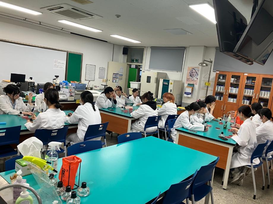 용혈성 및 항생제 디스크 실험