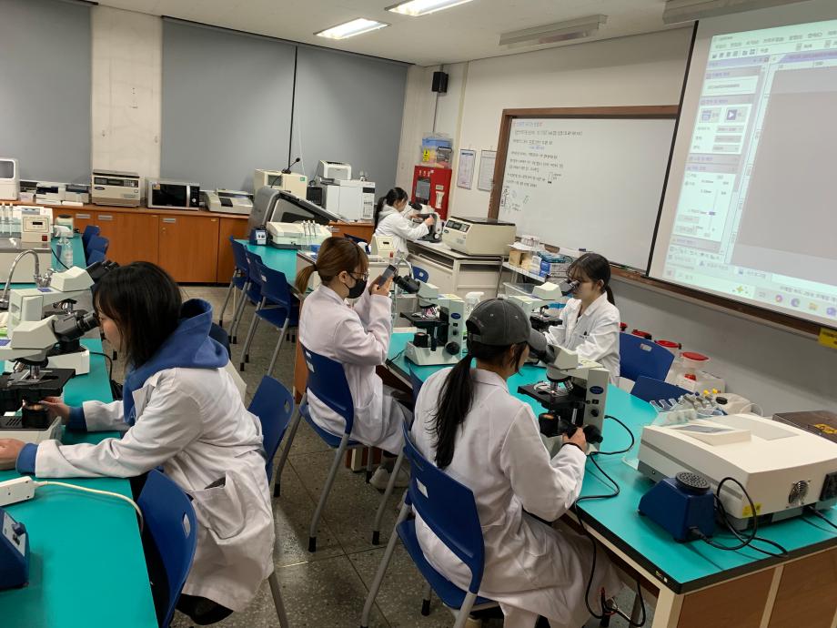 요침사표본제작2