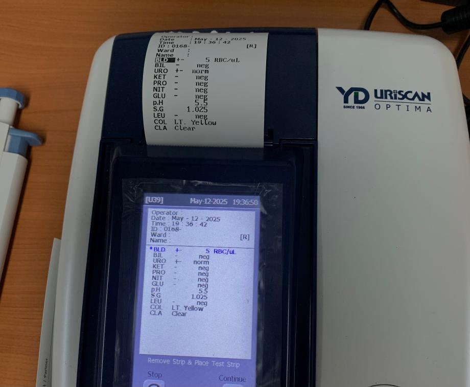 요시험지 테스트