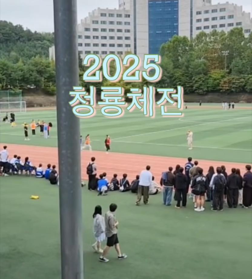 2025 청룡체전