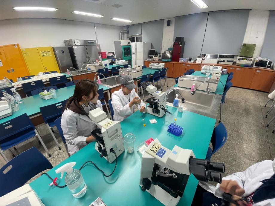 요침사 표본 제작