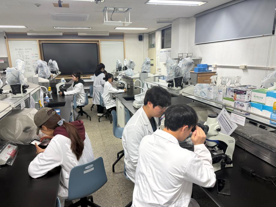 검경 및 피드백