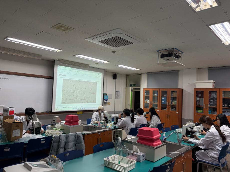 PH에 따른 요침사 검사