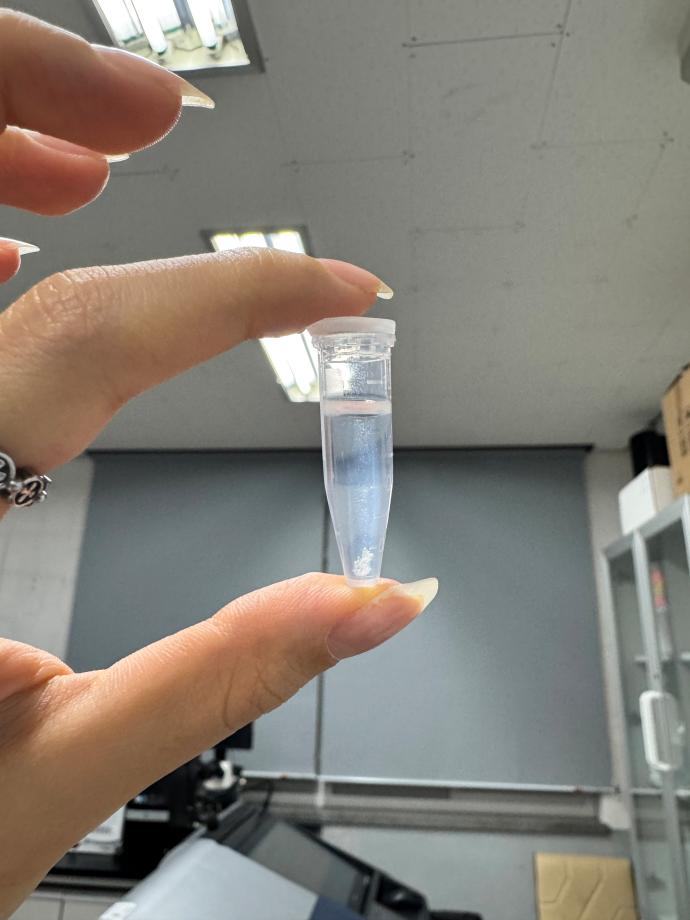 혈액으로부터 DNA추출2