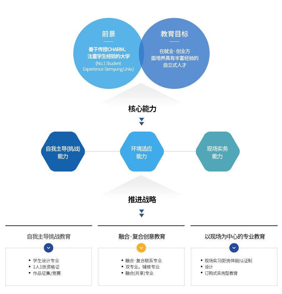 비전:CHARM잘가르치는학생경험중심대학,교육목표:취.창업에 강한경험중심의 자립하는인재양성, 핵심역량:자기주도역량,환경적응역량,형장실무역량, 추진전략:1)자기주도도전교육-학생설계전공,1인1기자격증,공모전/경진대회
            2)융.복합 창의교육-융.복합 연계전공, 복수전공,부전공, 융합전공 3)현장중심전공교육-현장실습인증제캡스톤, 디자인, 주문식실무형교육