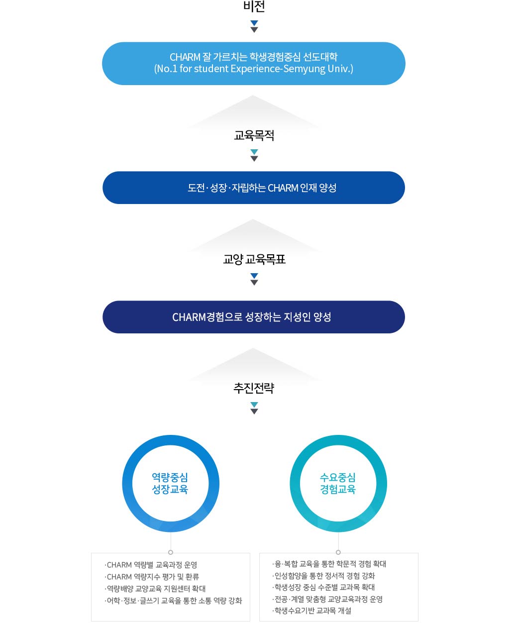비전:CHARM잘 가르치는 학생경험중심 대학, 교육목적:도전.성장.자립하는 CHARM인재양성, 교양교육목표:더불어성장하는지성인양성, 추진전략:1.역량기반 성장교육-CHARM역량별 교육과정 운영, CHARM역량 지수 평가 및 환류, 역량배양 교양교육 지원센터 확대, 2.인성기반소통교육-어학.정보.글쓰기 교육을 통한 소통역량강화, 융.복합 교육을 통한 학문적 소통 강화, 인성함양을 통한 정서적 소통강화, 3.수요기반 맞춤교육-학생성장 중심 수준별 교과목 확대, 전공.계열 맞춤형 교양교육과정 운영, 학생수요기반 교과목 개설